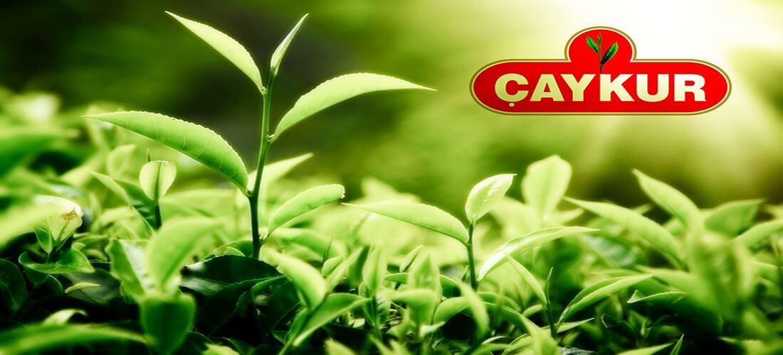 We signed a renewal agreement for Çaykur Dealer Automation Project 